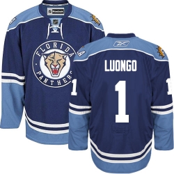 Roberto Luongo Reebok Florida Panthers Premier Navy Blue Third NHL Jersey